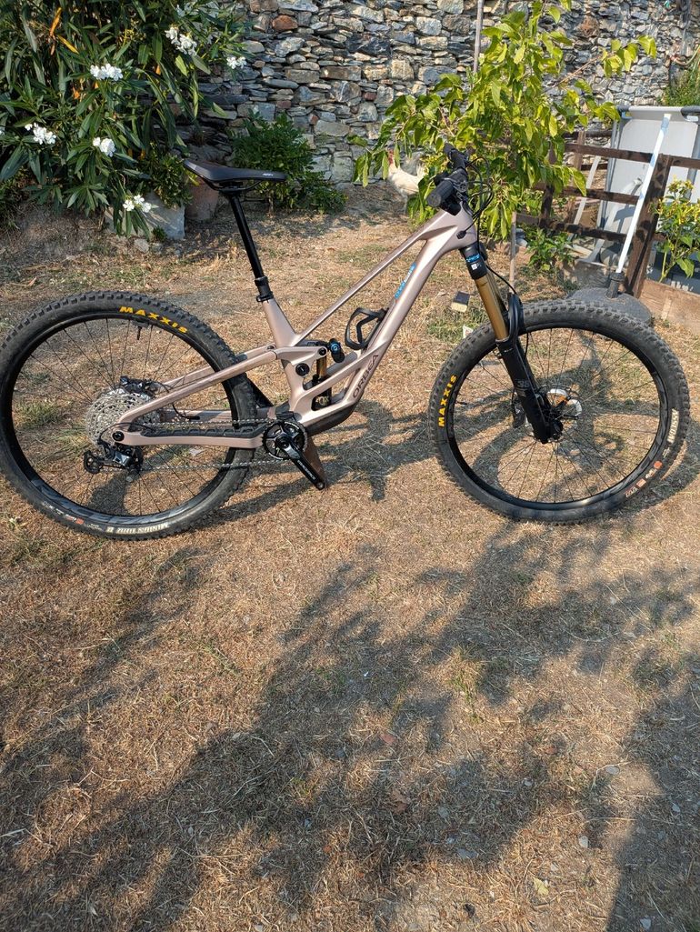Orbea Rallon E-TEAM 2026 2026 Mountainbike usato, Grigio chiaro — immagine 9 di 9