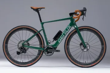 Used Geniux SILVER FOX 27 Frameset 2027 Road & Gravel, Green — image 3 of 8