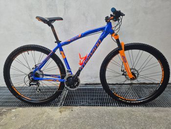 Used Torpado Icaro T730 2020 MTB