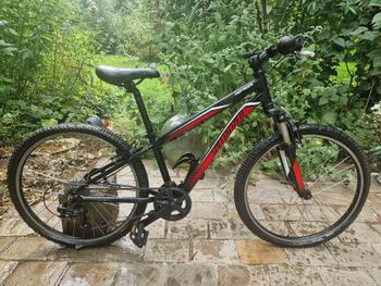 Specialized Hotrock 24" 7-Speed Boys 2008 2008 Kids & Youth usato