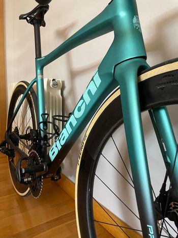 Used Bianchi Specialissima Frameset 2025 Road & Gravel, Green — image 4 of 4