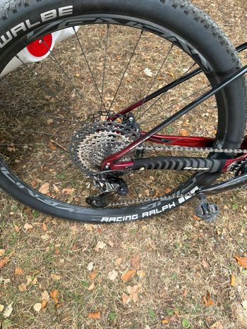 Massi Pro SL 2024 Mountainbike d'occasion — image 6 sur 6