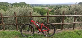 Brugt Trek Marlin 8 Gen 2 2023 2023 Mountainbike — billede 2 af 3