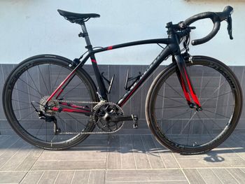 Tweedehands Specialized Allez Comp 2015 2015 Road & Gravel