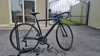 Used Cannondale CAAD Optimo Sora 2019 Road & Gravel, Blue — image 10 of 10