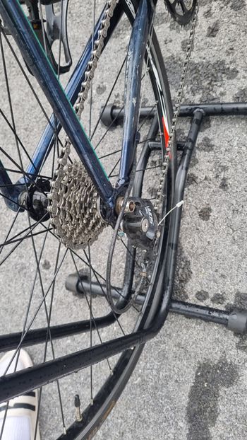 Used Cannondale CAAD Optimo Sora 2019 Road & Gravel, Blue — image 6 of 10