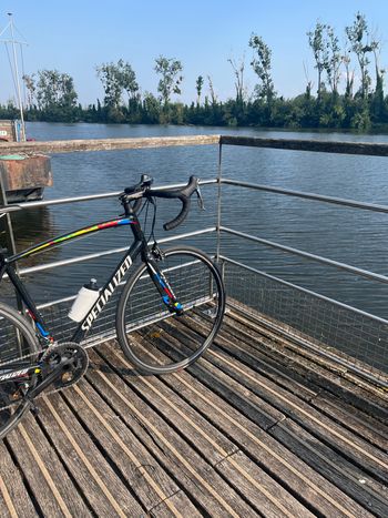 Używany Specialized Allez E5 Elite 2017 2017 Road & Gravel — zdjęcie 2 z 3