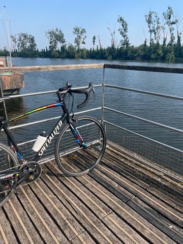 Used Specialized Allez E5 Elite 2017 2017 Road & Gravel, Black — image 8 of 8