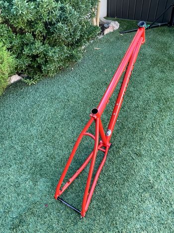 Used Ritchey P-29er Frameset 2024 Mountainbike, Red — image 9 of 9