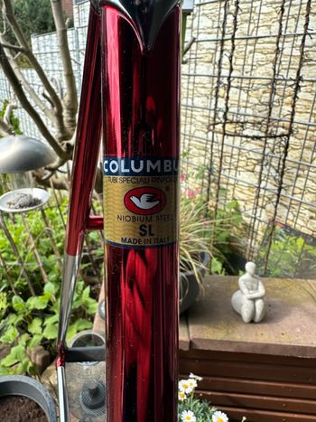 Used Battaglin Special Frameset 2017 Road & Gravel, Red — image 6 of 10