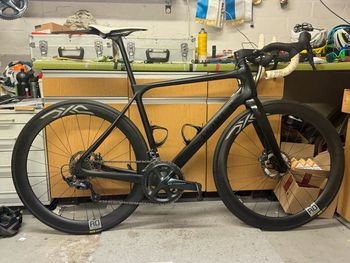 Gebrauchtes Storck Fascenario.3 Comp Disc Ultegra 2x11 2023 2023 Road & Gravel