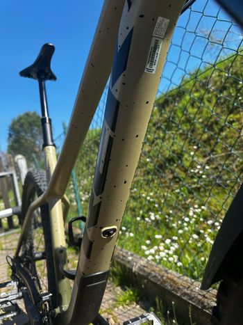 Used Trek Roscoe 9 2023 2023 Mountainbike, Green, 29 — image 12 of 16