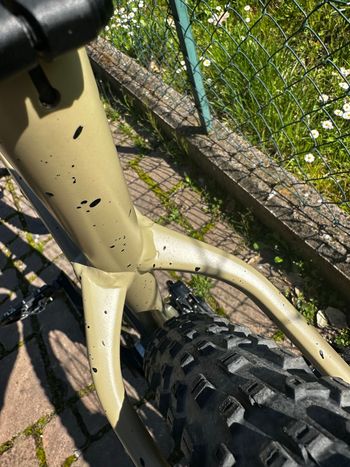 Used Trek Roscoe 9 2023 2023 Mountainbike, Green, 29 — image 6 of 16