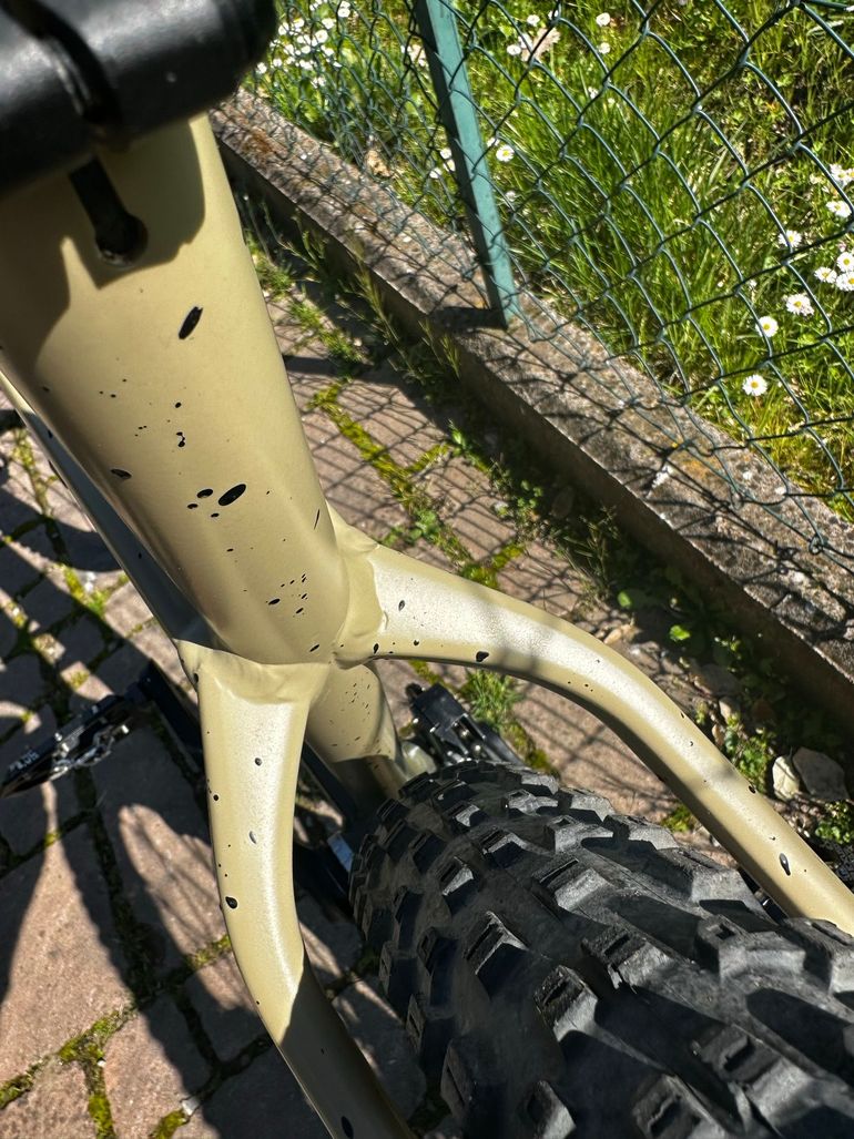 Used Trek Roscoe 9 2023 2023 Mountainbike, Green, 29 — image 6 of 16