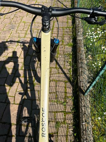 Used Trek Roscoe 9 2023 2023 Mountainbike, Green, 29 — image 5 of 16