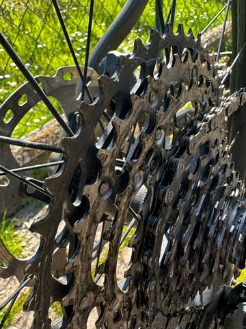 Used Trek Roscoe 9 2023 2023 Mountainbike, Green, 29 — image 4 of 16