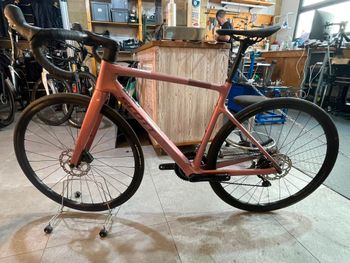 Gebrauchtes Scott Addict 50 2025 2025 Road & Gravel, Violett — Bild 7 von 10