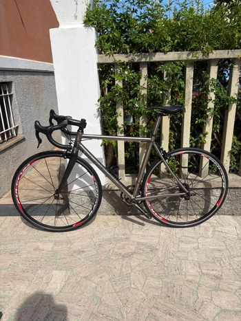 Used Carraro Custom Campagnolo Super Record 2008 Road & Gravel, Light Gray — image 2 of 10