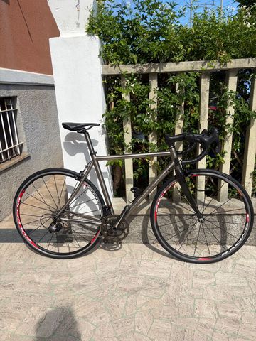 Used Carraro Custom Campagnolo Super Record 2008 Road & Gravel