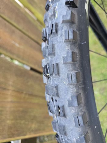 Käytetty Focus JAM 8.8 2022 2022 Mountainbike — kuva 7 / 12
