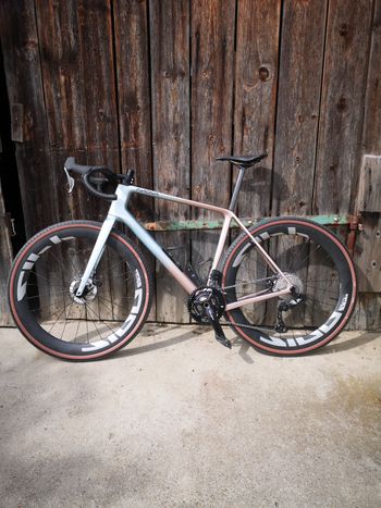 Used Avona Callis, 2025 2025 Road & Gravel
