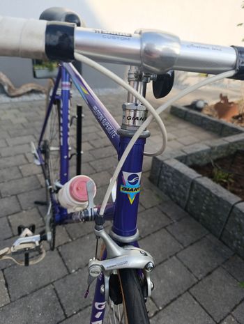 Gebrauchtes Giant Peloton Shimano 105 1992 Road & Gravel, Violett — Bild 6 von 13