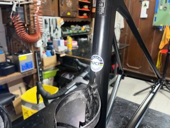 Gebrauchtes BMC Teammachine SLR 01 MOD 2024 Frameset 2024 Road & Gravel, Schwarz — Bild 11 von 20