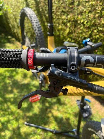 Brugt Canyon Torque 29 AL 6 2022 2022 Mountainbike — billede 11 af 13