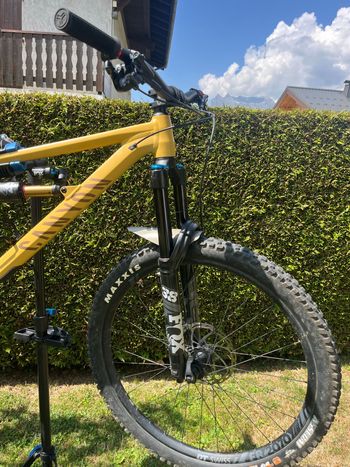 Brugt Canyon Torque 29 AL 6 2022 2022 Mountainbike — billede 12 af 13