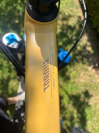 Brugt Canyon Torque 29 AL 6 2022 2022 Mountainbike — billede 7 af 13