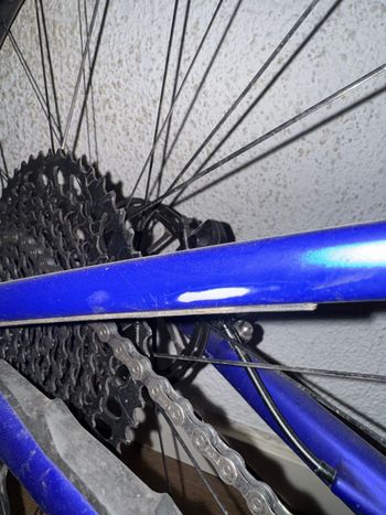 Used Specialized Epic 8 Comp 2024 2024 Mountainbike, Blue — image 5 of 5