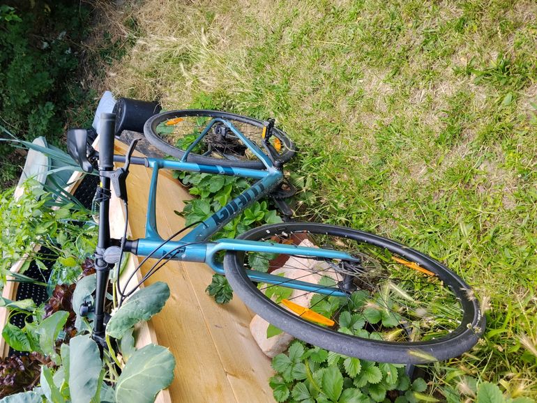 Giant FastRoad AR 1 2023 2023 Urban usato, Blu — immagine 2 di 8