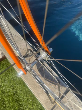 Used Colnago Custom Campagnolo Record 1972 Road & Gravel, Orange — image 16 of 18