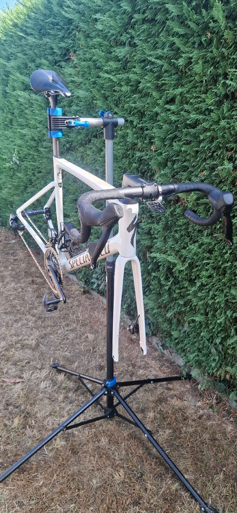 Brugt Specialized Tarmac SL7 Expert 2023 Frameset 2023 Road & Gravel — billede 3 af 5