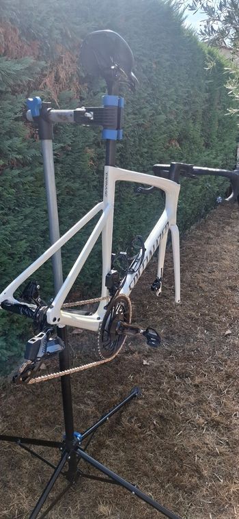 Brugt Specialized Tarmac SL7 Expert 2023 Frameset 2023 Road & Gravel — billede 5 af 5
