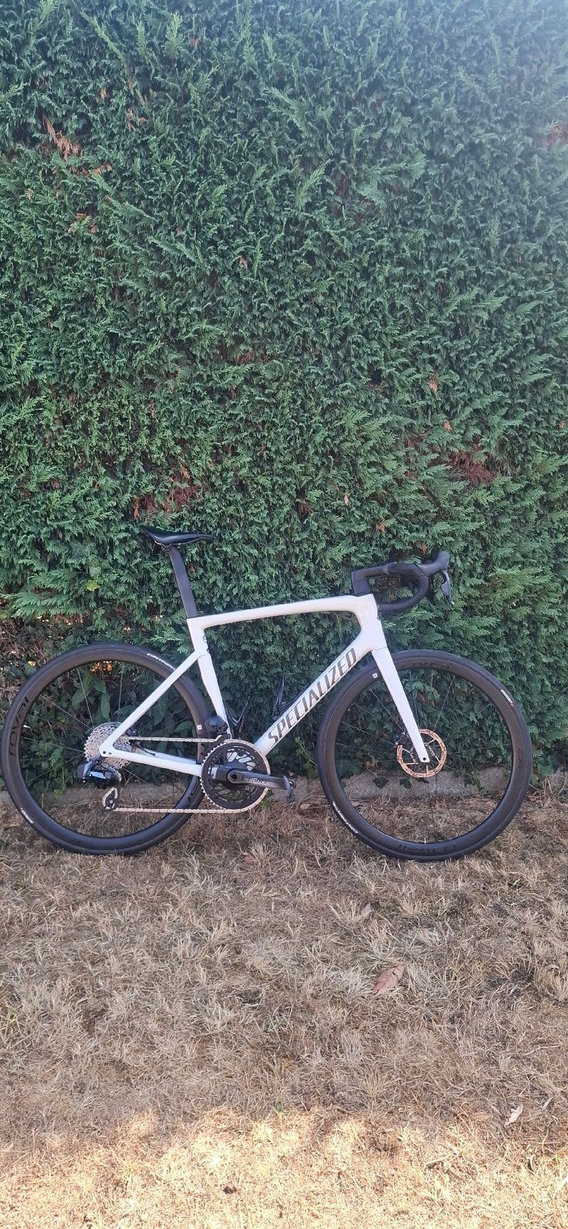 Used Specialized Tarmac SL7 Expert - SRAM Rival AXS 2023 2023 Road & Gravel