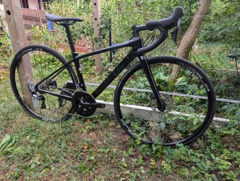 Liv Langma Advanced 1 Disc 2021 2021 Road & Gravel usato