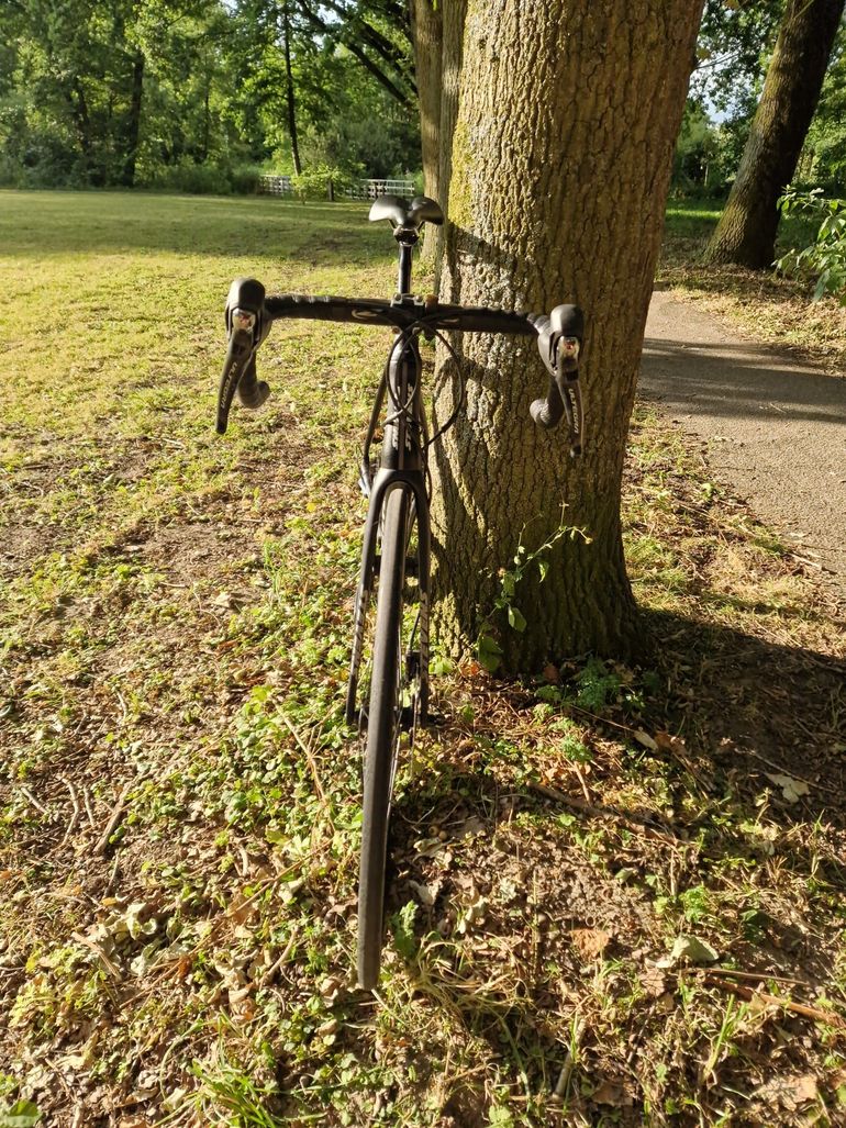 Brugt Stevens Aspin Disc 2018 2018 Road & Gravel — billede 4 af 11