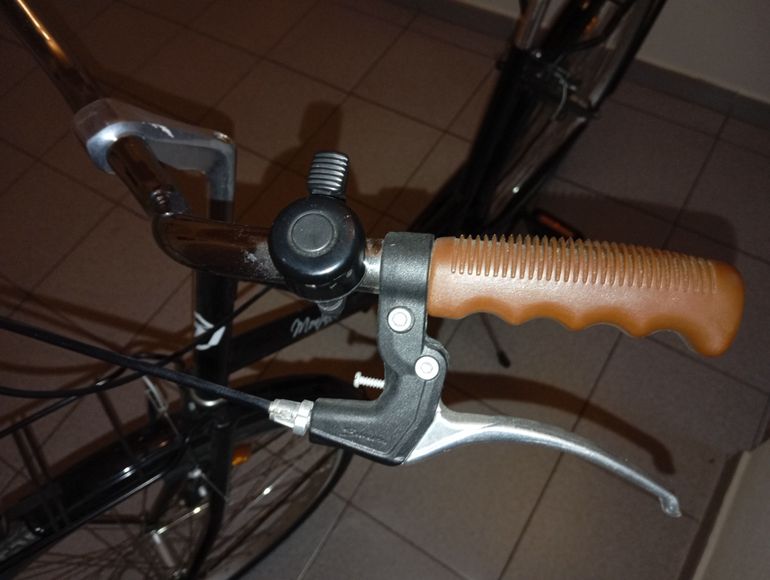Used Montana Single Speed 2023 Urban, Black — image 9 of 11