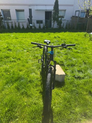 Brugt Trek Powerfly 5 Gen 4 2024 2024 Mountainbike — billede 4 af 7