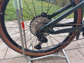 BULLS Wild Ronin 2023 2023 Mountainbike usato, Verde — immagine 2 di 6