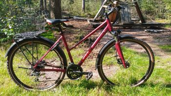Cube Nature Allroad Trapez Baujahr 2022 2022 Urban & Touring d'occasion