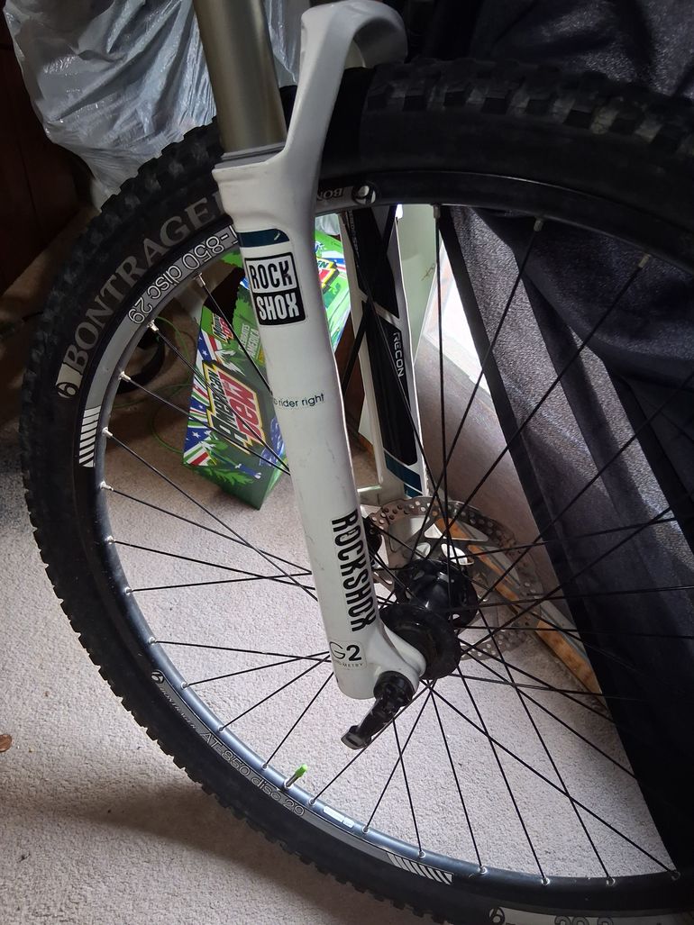 Used Trek Lush 29 SL 2013 2013 Mountainbike, White, 29 — image 2 of 5