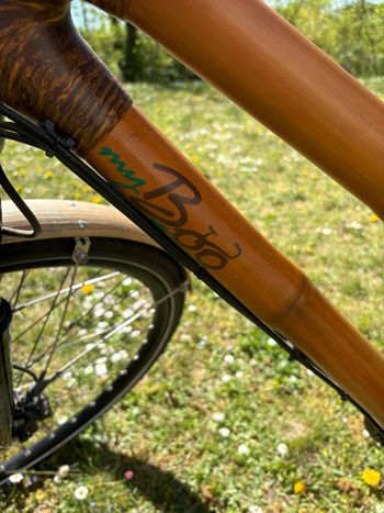Used MyBoo Custom Shimano Alfine 11 hub gears Urban, Orange — image 2 of 15