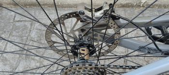 Gebrauchtes Pivot Phoenix 29 Pro Saint 2019 2019 Mountainbike, Hellgrau, 29 — Bild 10 von 26