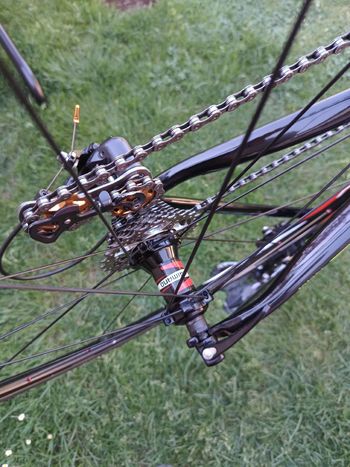 Used Ceccotti Custom Shimano 105 2025 Road & Gravel, Black — image 16 of 16