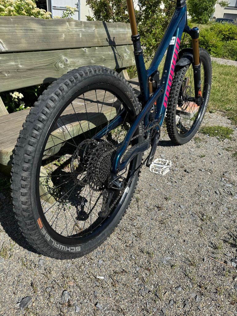 Propain Tyee SRAM GX Eagle 2024 Mountainbike d'occasion — image 3 sur 6