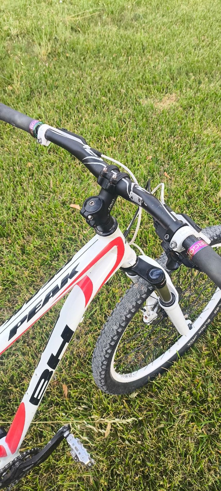 Used BH Custom Other Shimano 2010 Mountainbike, White — image 7 of 10