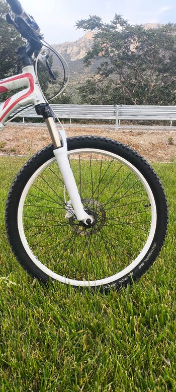Used BH Custom Other Shimano 2010 Mountainbike, White — image 10 of 10