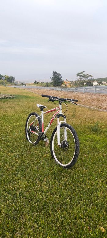 Used BH Custom Other Shimano 2010 Mountainbike, White — image 2 of 10